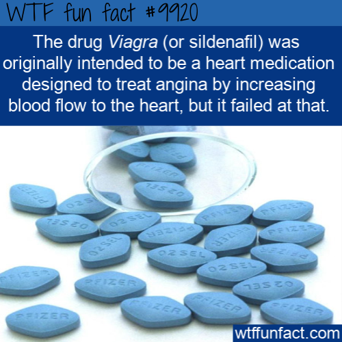 plastic - Wtf fun fact The drug Viagra or sildenafil was originally intended to be a heart medication designed to treat angina by increasing blood flow to the heart, but it failed at that. az Cozsel Ose Peizer wtffunfact.com
