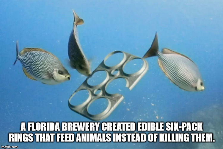 edible soda rings - A Florida Brewery Created Edible SixPack Rings That Feed Animals Instead Of Killing Them. imgflip.com