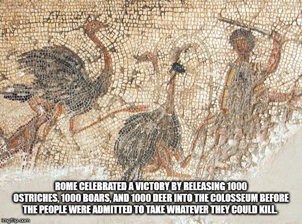 Salatlar Rome Celebrated A Victory By Releasing 1000 Ostriches, 1000 Boars And 1000 Deer Into The Colosseum Before The People Were Admitted To Take Whatever They Could Kill imgflip.com