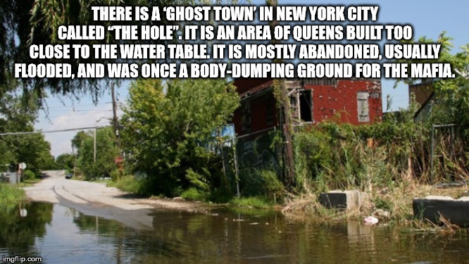hole queens new york - There Is A Ghost Town' In New York City Called The Hole". It Is An Area Of Queens Built Too Close To The Water Table. It Is Mostly Abandoned. Usually Flooded. And Was Once A BodyDumping Ground For The Mafia imgflip.com