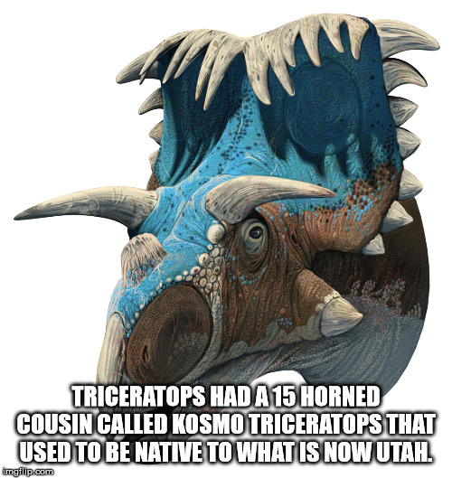 new ceratopsian dinosaurs - Triceratops Had A 15 Horned Cousin Called Kosmotriceratops That Used To Be Native To What Is Now Utah. imetlip com