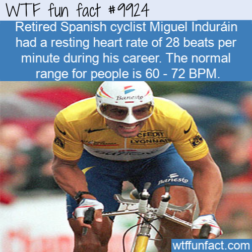 road bicycle - Wtf fun fact Retired Spanish cyclist Miguel Indurain had a resting heart rate of 28 beats per minute during his career. The normal range for people is 60 72 Bpm. Banesto CFEOs Lyonnan nesto wtffunfact.com