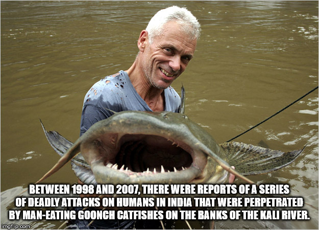 river monsters - Between 1998 And 2007, There Were Reports Of A Series Of Deadly Attacks On Humans In India That Were Perpetrated By ManEating Goonch Catfishes On The Banks Of The Kali River. imgflip.com