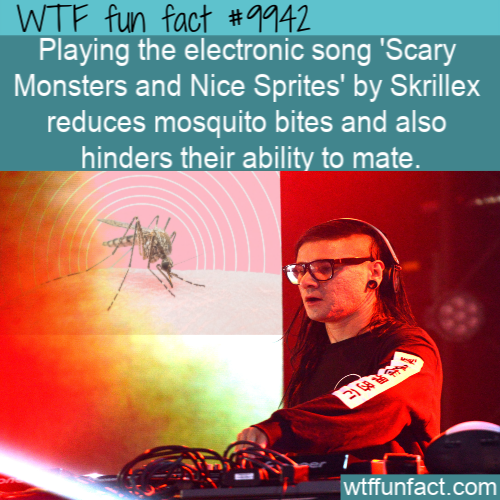poster - Wtf fun fact Playing the electronic song 'Scary Monsters and Nice Sprites' by Skrillex reduces mosquito bites and also hinders their ability to mate. wtffunfact.com