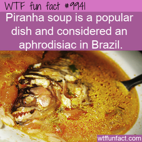 piranha soup - Wtf fun fact || Piranha soup is a popular dish and considered an aphrodisiac in Brazil. wtffunfact.com