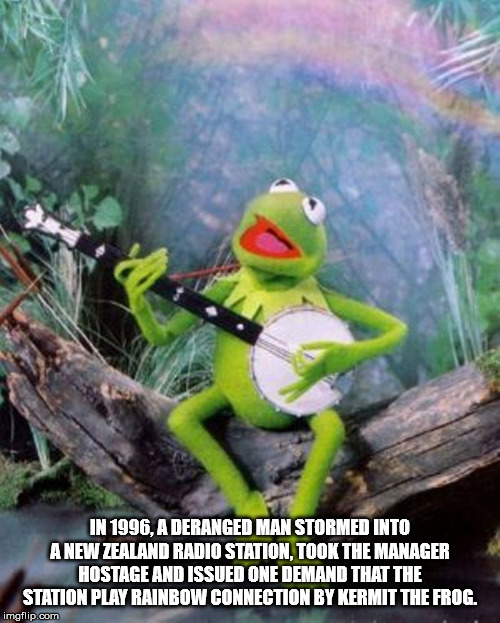 kermit the frog rainbow connection - In 1996, A Deranged Man Stormed Into A New Zealand Radio Station, Took The Manager Hostage And Issued One Demand That The Station Play Rainbow Connection By Kermit The Frog. imgflip.com