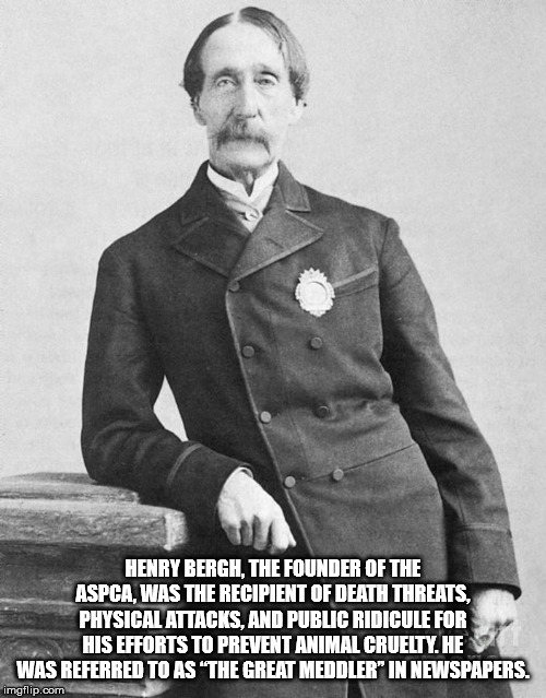 gentleman - Henry Bergh, The Founder Of The Aspca Was The Recipient Of Death Threats, Physical Attacks, And Public Ridicule For His Efforts To Prevent Animal Cruelty. He Was Referred To As The Great Meddler" In Newspapers. imgflip.com
