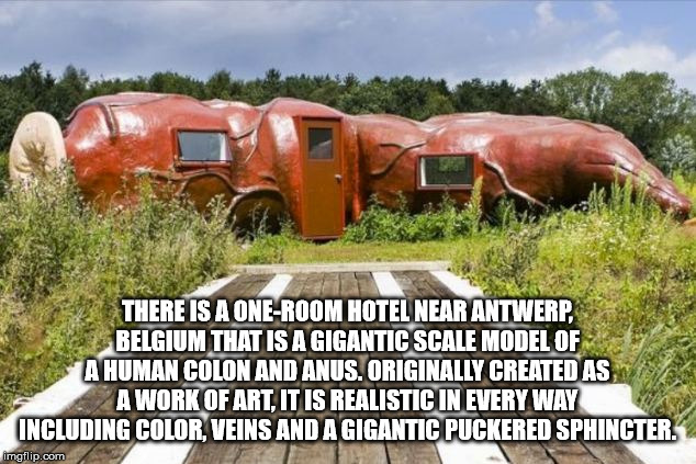 hotel anus - There Is A OneRoom Hotel Near Antwerp Belgium That Is A Gigantic Scale Model Of A Human Colon And Anus. Originally Created As Awork Of Art. It Is Realistic In Every Way Including Color, Veins And A Gigantic Puckered Sphincter imgflip.com