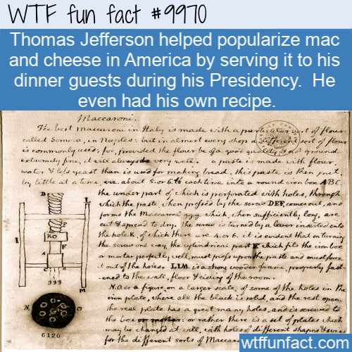 funny facts random - Wtf fun fact Thomas Jefferson helped popularize mac and cheese in America by serving it to his dinner guests during his Presidency. He even had his own recipe. Araceae 7. Helmuthuyet Soma, ne s leker met everywhep 34en.. ..werny wife 