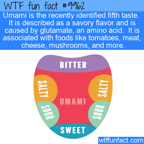 online advertising - Wtf fun fact Umami is the recently identified fifth taste. It is described as a savory flavor and is caused by glutamate, an amino acid. It is associated with foods tomatoes, meat, cheese, mushrooms, and more. Bitter Salty Salty Sour 