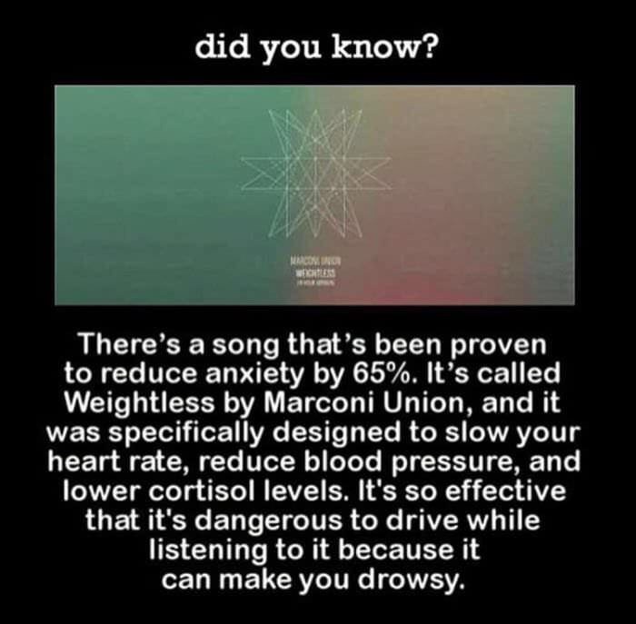 someone you two get close - did you know? There's a song that's been proven to reduce anxiety by 65%. It's called Weightless by Marconi Union, and it was specifically designed to slow your heart rate, reduce blood pressure, and lower cortisol levels. It's