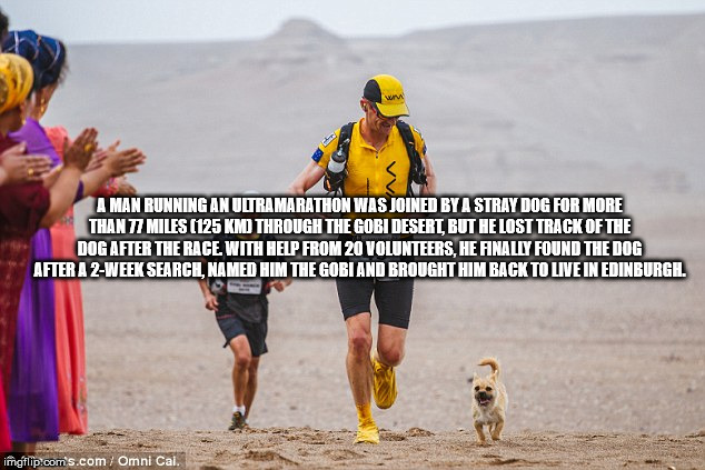 dion leonard dog gobi - A Man Running An Ultramarathon Was Joined By A Stray Dog For More Than 77 Miles 125 Km Through The Gobi Desert, But He Lost Track Of The Dog After The Race With Help From 20 Volunteers, He Finally Found The Dog After A 2Week Search