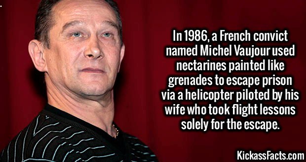 In 1986, a French convict named Michel Vaujour used nectarines painted grenades to escape prison via a helicopter piloted by his wife who took flight lessons solely for the escape.