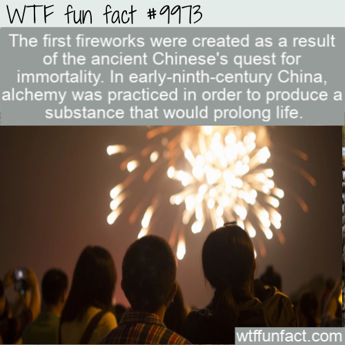 the first fireworks were created as a result of the ancient Chinese's quest for immortality. In earlyninthcentury China, alchemy was practiced in order to produce a substance that would prolong life.