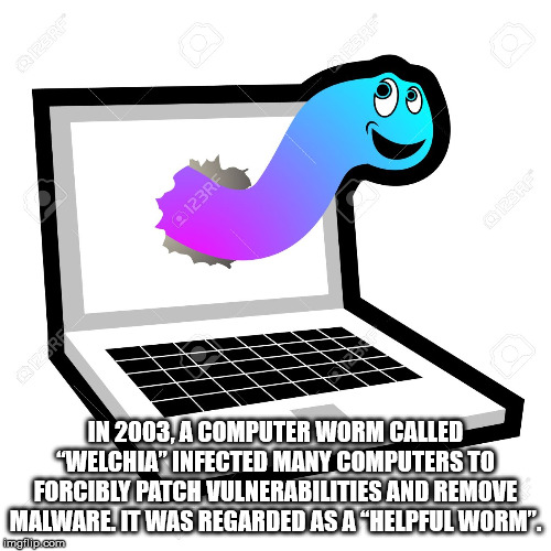In 2003, A Computer Worm Called