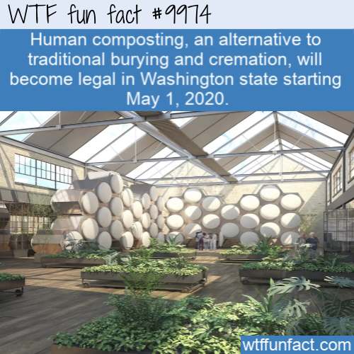 composting of human bodies - Wtf fun fact Human composting, an alternative to traditional burying and cremation, will become legal in Washington state starting . wtffunfact.com