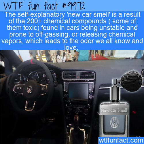 steering wheel - The selfexplanatory 'new car smell' is a result of the 200 chemical compounds some of them toxic found in cars being unstable and prone to offgassing, or releasing chemical vapors, which leads to the odor we all know and love