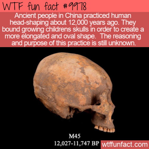 More Random Facts From The Internet