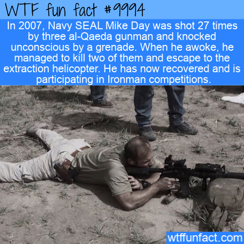 40 Facts More Informative Than Public School - Wow Gallery