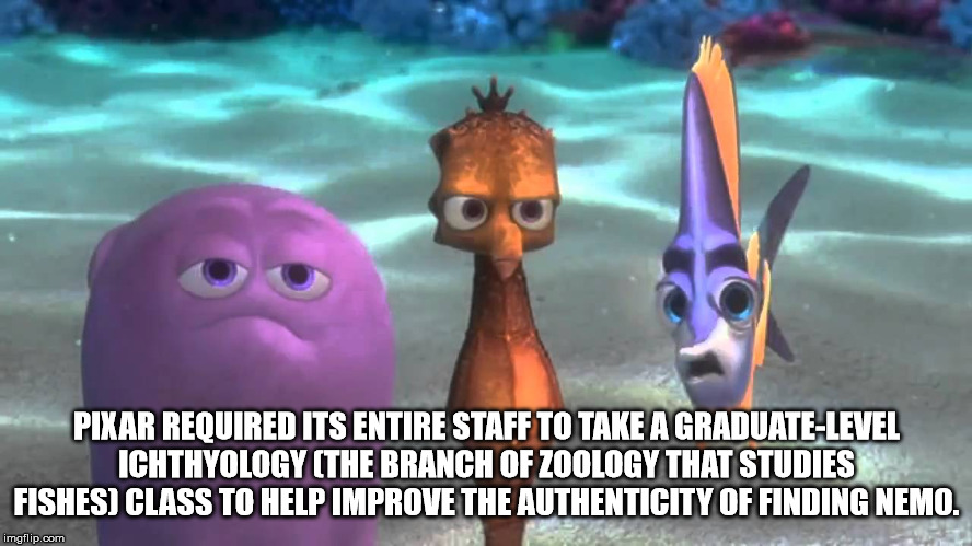 finding nemo pity - Pixar Required Its Entire Staff To Take A GraduateLevel Ichthyology The Branch Of Zoology That Studies Fishes Class To Help Improve The Authenticity Of Finding Nemo. imgflip.com