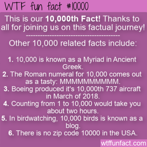 wtf fun fact 10000 - Wtf fun fact This is our 10,000th Fact! Thanks to all for joining us on this factual journey! Other 10,000 related facts include 1. 10.000 is known as a Myriad in Ancient Greek. 2. The Roman numeral for 10,000 comes out as a tasty Mmm