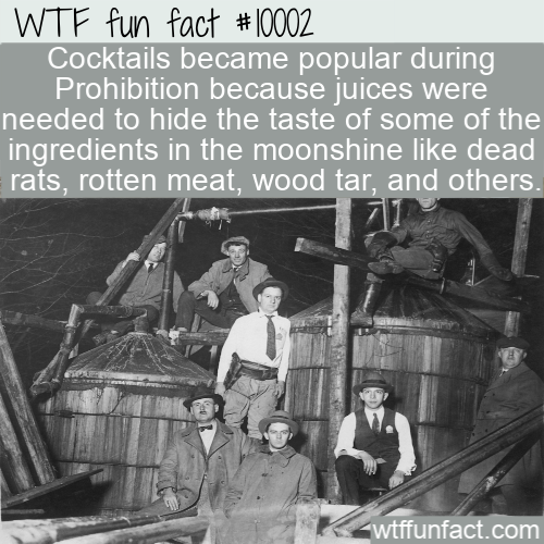 prohibition homemade alcohol - Wtf fun fact Cocktails became popular during Prohibition because juices were needed to hide the taste of some of the ingredients in the moonshine dead rats, rotten meat, wood tar, and others. wtffunfact.com
