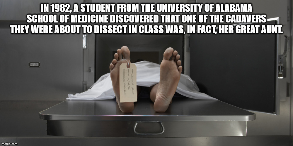 plumbing fixture - In 1982, A Student From The University Of Alabama School Of Medicine Discovered That One Of The Cadavers They Were About To Dissect In Class Was. In Fact Her Great Aunt. Am Melanie Bus imgflip.com