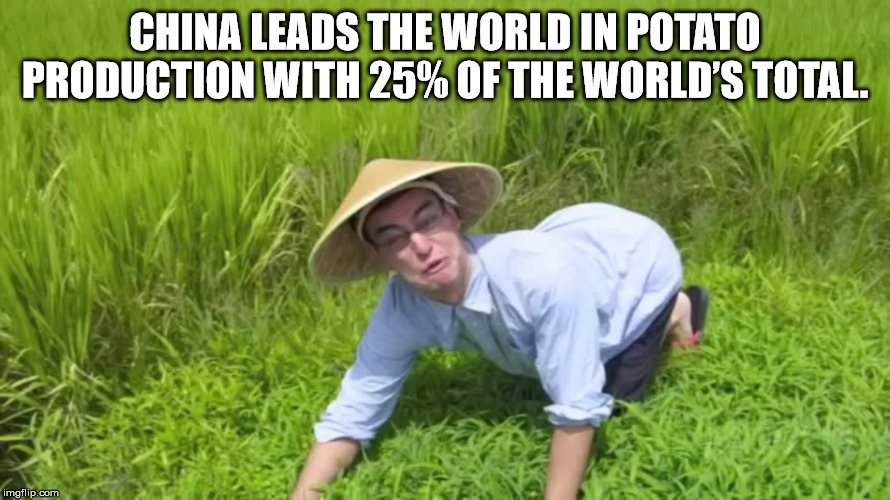 welcome to the rice fields - China Leads The World In Potato Production With 25% Of The World'S Total. imgflip.com