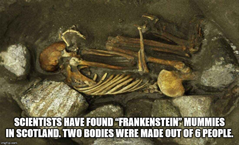facts about mummies - Scientists Have Found Frankenstein" Mummies In Scotland. Two Bodies Were Made Out Of 6 People. imgflip.com