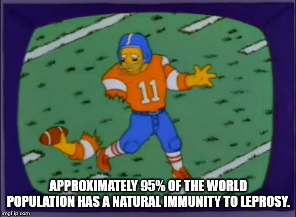 cartoon - Approximately 95% Of The World Population Has A Natural Immunity To Leprosy imgflip.com
