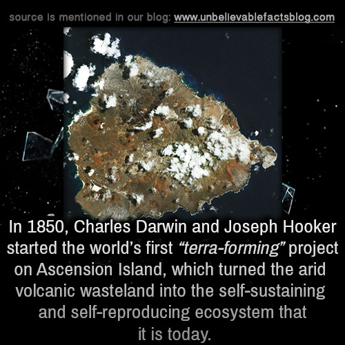 Ascension Island - source is mentioned in our blog In 1850, Charles Darwin and Joseph Hooker started the world's first terraforming" project on Ascension Island, which turned the arid, volcanic wasteland into the selfsustaining and selfreproducing ecosyst