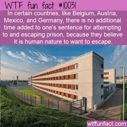 residential area - Wtf fun fact || In certain countries, Belgium, Austria, Mexico, and Germany, there is no additional time added to one's sentence for attempting to and escaping prison, because they believe it is human nature to want to escape. wtffunfac
