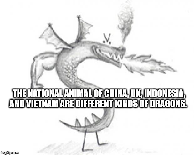 trogdor the burninator - The National Animal Of China, Uk, Indonesia, And Vietnam Are Different Kinds Of Dragons. imgflip.com
