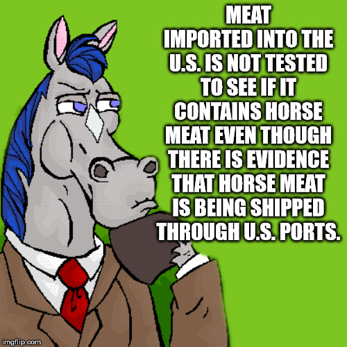cartoon - Meat Imported Into The U.S. Is Not Tested To See If It Contains Horse Meat Even Though There Is Evidence That Horse Meat Is Being Shipped Through U.S. Ports. imgflip.com