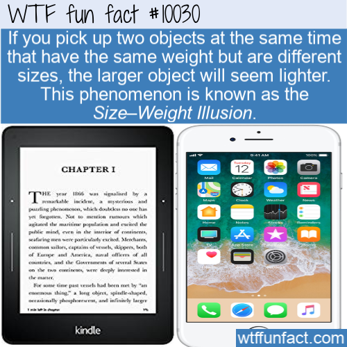 multimedia - Wtf fun fact #|0030 If you pick up two objects at the same time that have the same weight but are different sizes, the larger object will seem lighter. This phenomenon is known as the SizeWeight Illusion. Chapteri 12 The ya 16 was aled by a n