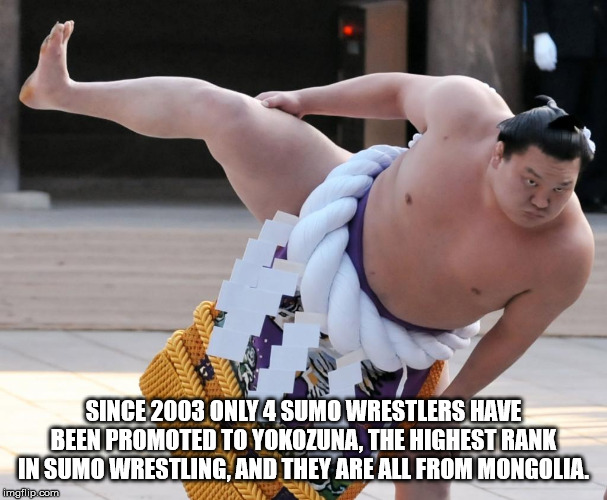 barechestedness - Since 2003 Only 4 Sumo Wrestlers Have Been Promoted To Yokozuna. The Highest Rank In Sumo Wrestling And They Are All From Mongolia imgflip.com