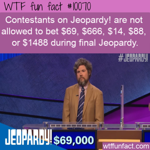 final jeopardy - Wtf fun fact Contestants on Jeopardy! are not allowed to bet $69, $666, $14, $88, or $1488 during final Jeopardy. Jeopardy $69,000 wtffunfact.com