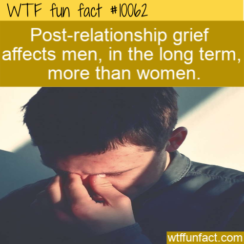 wtf fun facts - Wtf fun fact Postrelationship grief affects men, in the long term, more than women. wtffunfact.com
