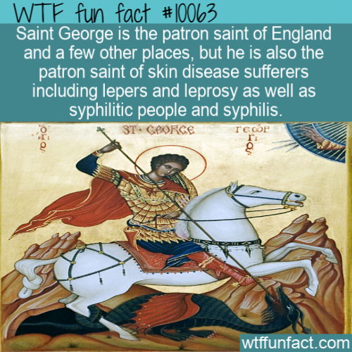 cartoon - Wtf fun fact Saint George is the patron saint of England and a few other places, but he is also the patron saint of skin disease sufferers including lepers and leprosy as well as syphilitic people and syphilis. St. George Teop Oro wtffunfact.com