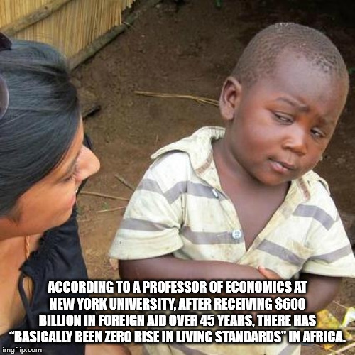 programming memes - According To A Professor Of Economics At New York University, After Receiving $600 Billion In Foreign Aid Over 45 Years, There Has "Basically Been Zero Rise In Living Standards In Africa imgflip.com