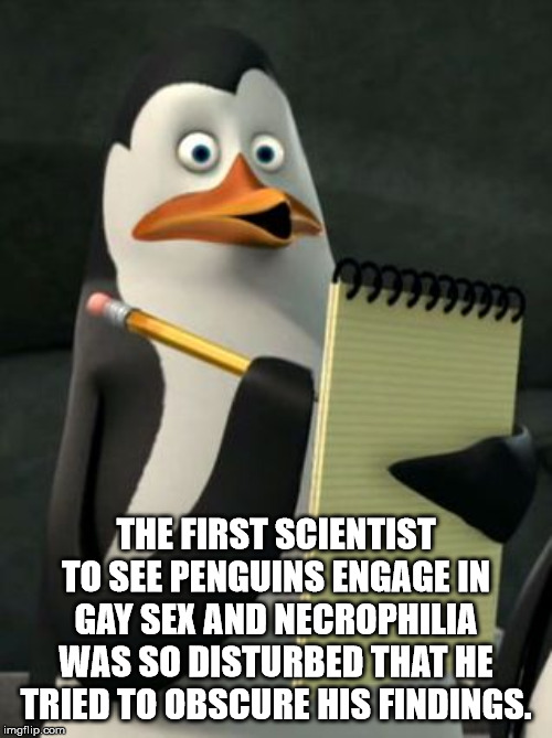 penguin - m . The First Scientist To See Penguins Engage In Gay Sex And Necrophilia Was So Disturbed That He Tried To Obscure His Findings. imgflip.com