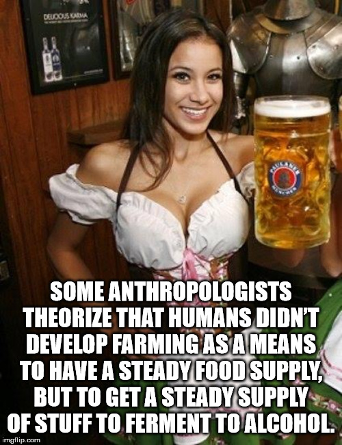 oktoberfest beer girls sexy - Deudous Cama Some Anthropologists Theorize That Humans Didn'T Develop Farming As A Means To Have A Steady Food Supply, But To Get A Steady Supply Of Stuff To Ferment To Alcohol. imgflip.com