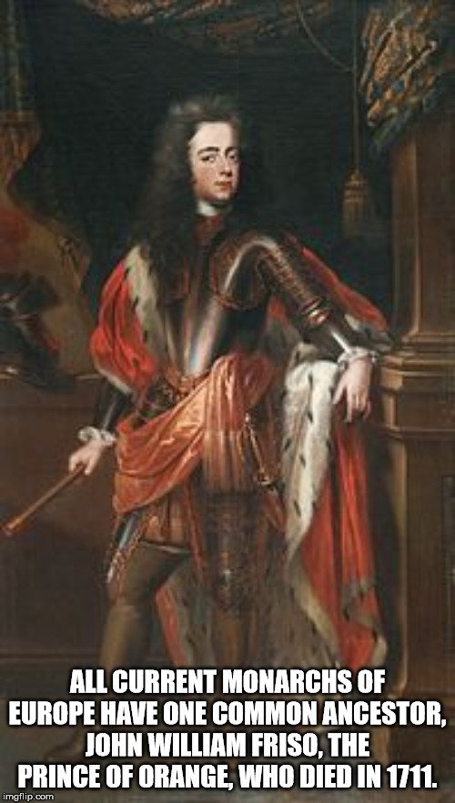 john william friso - All Current Monarchs Of Europe Have One Common Ancestor. John William Friso, The Prince Of Orange, Who Died In 1711. imgflip.com