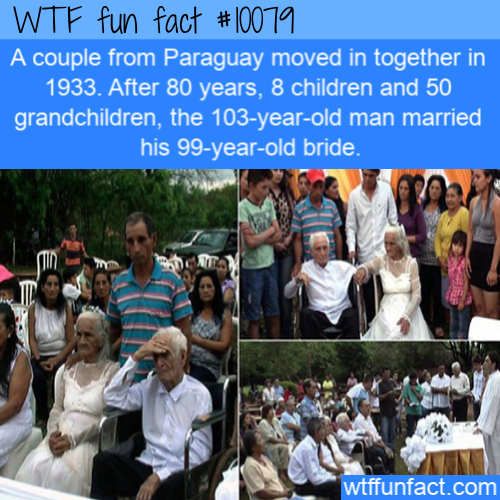 community - Wtf fun fact A couple from Paraguay moved in together in 1933. After 80 years, 8 children and 50 grandchildren, the 103yearold man married his 99yearold bride. . wtffunfact.com