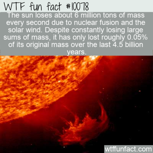 sun - Wtf fun fact The sun loses about 6 million tons of mass every second due to nuclear fusion and the solar wind. Despite constantly losing large sums of mass, it has only lost roughly 0.05% of its original mass over the last 4.5 billion years. wtffunf