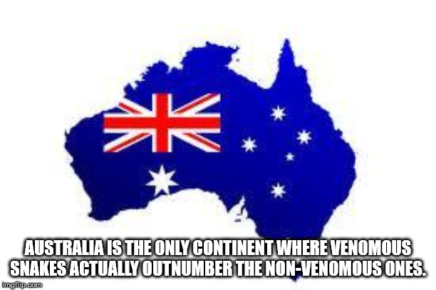 flag of australia - Australia Is The Only Continent Where Venomous Snakes Actually Outnumber The NonVenomous Ones imgflip.com