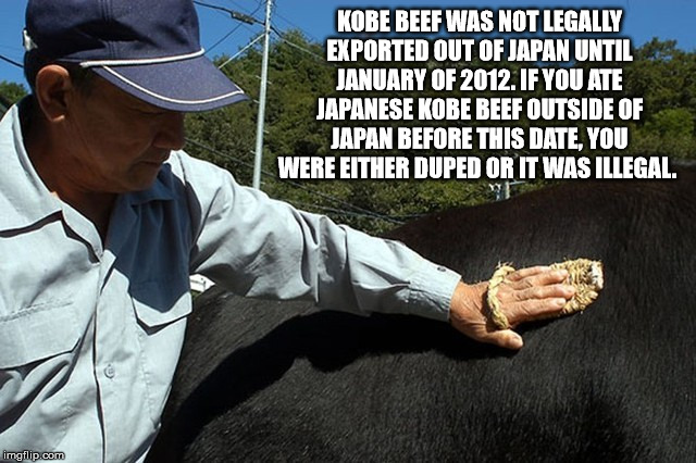Kobe Beef Was Not Legally Exported Out Of Japan Until January Of 2012. If You Ate Japanese Kobe Beef Outside Of Japan Before This Date, You Were Either Duped Or It Was Illegal. imgflip.com
