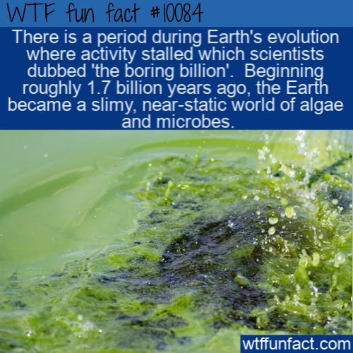 wtf fun facts wtf evolution facts - Wtf fun fact There is a period during Earth's evolution where activity stalled which scientists dubbed 'the boring billion'. Beginning roughly 1.7 billion years ago, the Earth became a slimy, nearstatic world of algae a