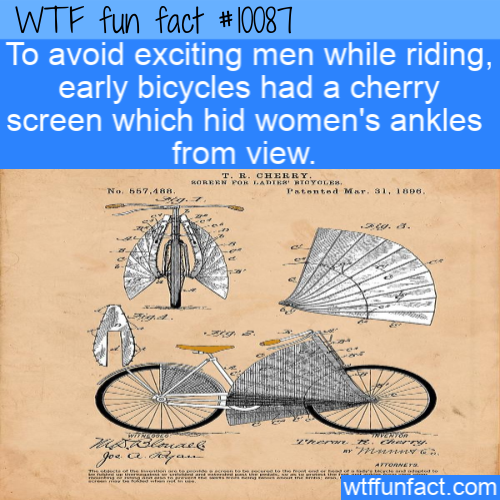 material - Wtf fun fact To avoid exciting men while riding, early bicycles had a cherry screen which hid women's ankles from view. T. R. Cherry. Roreen Por Latertoyoles Tanted Mrt. 81, Rph 57.48 2IGE wtffunfact.com