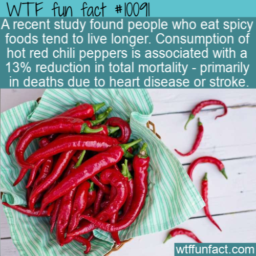 bird's eye chili - Wtf fun fact || A recent study found people who eat spicy foods tend to live longer. Consumption of hot red chili peppers is associated with a 13% reduction in total mortality primarily in deaths due to heart disease or stroke. wtffunfa